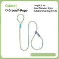 Green and white woven P-chain dog training leash, 1.5m length and 0.8cm diameter - 1.5m*0.8cm / Green
