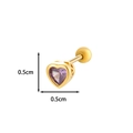 0.5cm titanium steel heart stud earring with purple zircon in gold finish - Gold & Purple Zirconia Style (3# Golden Yellow)