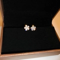 Elegant floral stud earrings with sparkling cubic zirconia in a premium velvet box - 6# Silver Earring Post - Gold-tone Clear Zircon Five-Petal Flower