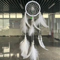 Handcrafted white dream catcher with woven net and natural hanging feathers for room decor - Minimalist / White