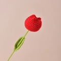 Tulp / Rood