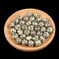 Polished Dalmatian stone round beads in a wooden tray on black background - 12mm Dalmatian Jasper Semi Drilled Bead