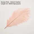 Soft pink 25-30cm ostrich feather decor for DIY bouquets and home floral arrangements - Korean Pink (25-30cm)