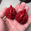 Pulsera de cuentas de Rudraksha rojo cinabrio en la palma con detalles de textura - Nuez Guanmao estilo Jade (Par)
