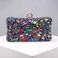 Macro shot of colorful rhinestones and faux pearl clasp on a black luxury evening clutch - Black Multi-color