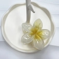 Pinza per capelli a fiore di frangipane traslucida con sfumatura gialla su vassoio - 8cm / Bianco con Cuore Giallo Gelatina