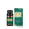 10ml Pure Organic Pine Tree Essential Oil in amber glass bottle with green paper box - Pine Tree Oil