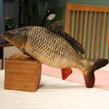 Detailed realistic carp plush pillow featuring lifelike fish scale patterns and orange fins - 30cm / Carp