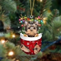 4-Yorkshire Terrier