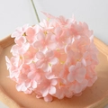 Lollipop Hydrangea Pink
