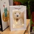 Cream white plush teddy bear with LED fairy lights in a transparent gift window bag - Box (No Doll) / 35cm