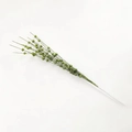 Close-up of artificial green Christmas berries branch with shimmering glitter finish - Light Green Stem