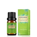 Pure and organic 10ml peppermint essential oil in a dark glass bottle with paper box - Peppermint Oil