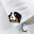 Bernese Mountain Dog