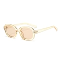 Oval fashion sunglasses with transparent champagne resin frames and tinted lenses - Transparent Yellow Frame Tea Lens