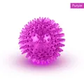 Durable purple spiked TPR pet ball for dog dental cleaning and interactive water play - Mini 5.5cm / Purple Transparent Ball