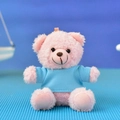 Pink plush teddy bear keychain wearing a cute light blue t-shirt variant - 12cm (Bead Chain) / Pink Bear (Sky Blue T-shirt)