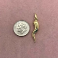 Gouden Italiaanse hoorn hanger van roestvrij staal met een munt voor maatreferentie - Chili Hanger / Goud
