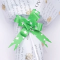 Green plastic gift bow with silver star patterns for festive holiday packaging decoration - Green
