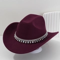 Burgundy western cowboy hat featuring silver rhinestone fringe and felt texture - Burgundy