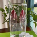 Detail of gradient burgundy cicada wing earrings with sparkling rhinestones on glass - Red Rhinestone