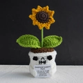 Handmade knitted sunflower in skull pot with emotional support encouraging card - Halloween Little Sunflower