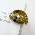 Green and brown tortoiseshell shell-shaped hair claw clip on a minimalist book - Jade Amber Brown
