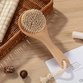 20x8cm Short Handle Brush