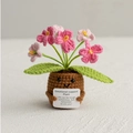 Pink crocheted emotional support flower plant with a cute smiling face and encouraging sign - Forget-Me-Not Gradient Pink
