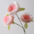 Austin Rose Pink