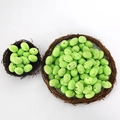 Speckled light green Easter bird eggs in two rustic brown nests on white background - 3cm / 50 Pieces / Green