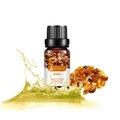 Amber plant essential oil in 10ml amber glass bottle for aromatherapy and massage - Amber Scented
