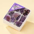 Natural purple amethyst cluster set with 9 mineral specimens in a collector box - Small Amethyst Cluster (Grade B)