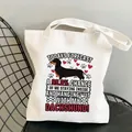 White canvas tote bag with cartoon dachshund print placed on a black metal chair - Multicolor Gradient / No Inner Pocket No Zipper