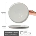 10.5 inch gray speckled ceramic dinner plate with spiral texture and 26.7cm diameter - Guilian - Grey Green Large Plate 10.5 Inch (Minor Flaws)