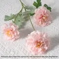 Geranium Pink