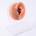 Realistic flesh-toned silicone ear model on a clear acrylic stand for jewelry display - Brown-Left Ear
