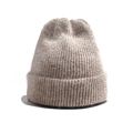 Winter beige knitted beanie for women featuring premium soft wool and fold-over cuff - Light Coffee