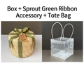 Round straw gift box set with green ribbon, pearl tag, and clear PVC carry bag - Bud Green Accessories + Handbag