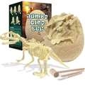 Kit scavo uovo di dinosauro con scheletro fossile e strumenti per scavare in legno - Scheletro di dinosauro