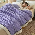 Soft lavender ultra-thick bean velvet blanket with white border in cozy bedroom setting - Taro Purple