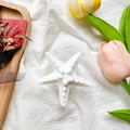 Detailed close-up of a white starfish-shaped phone grip with realistic matte texture - Transparent Stand / White