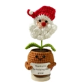 Handmade crochet Christmas flower pot with Santa design and positive greeting card - Santa Potted Red (No Base)