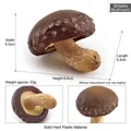 Realistisches künstliches Shiitake-Pilzmodell aus hartem Kunststoff für Heimdekoration - Shiitake-Pilz (T15511)