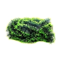 Close-up of dual-tone green festive garland tinsel for Christmas tree decoration - Green Edge