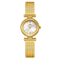 Elegant gold quartz watch for women with mother of pearl dial and mesh metal strap - Gold Case White Dial