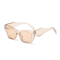 Modern square cat-eye sunglasses with translucent champagne gold frames and tinted lenses - Champagne Frame Champagne Lens