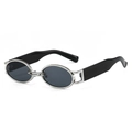 Retro oval sunglasses with silver metal frame and wide black temples in gray lenses - Silver Frame Grey Lens
