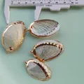 Vier ovale Abalone-Muschel-Anhänger mit vergoldetem Rand für DIY-Schmuckherstellung - Milchweißgold geränderte geschälte Abalone-Muschel 3-5cm