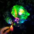 Luminous macaron green gold foil rose with heart-shaped LED light for romantic gifts - Crystal Green + Heart Light